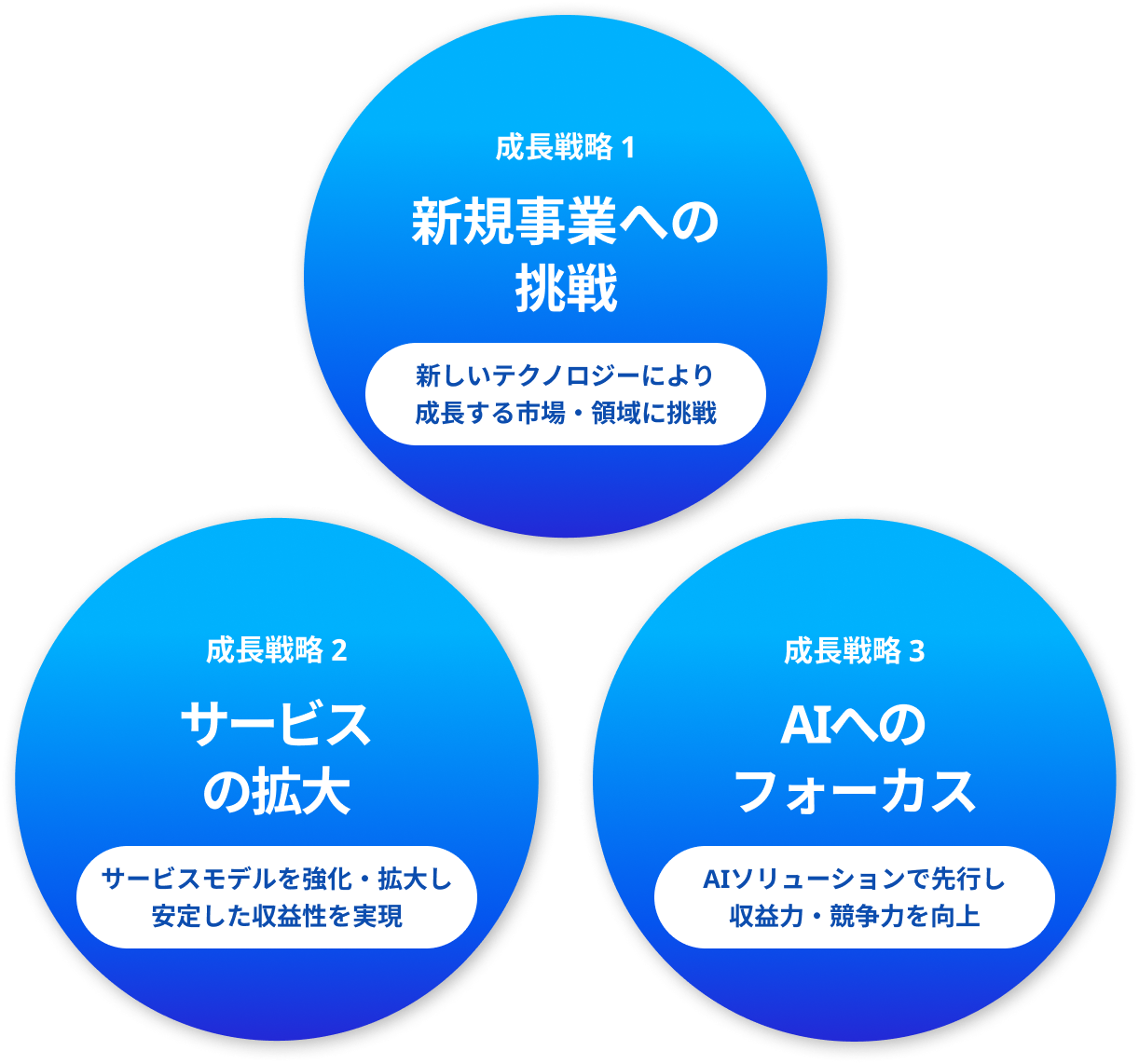 3つの成長戦略と将来への投資